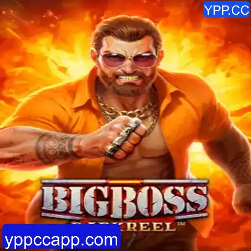 BigBoss: Desvendando o Mundo de Estratégias Empolgantes